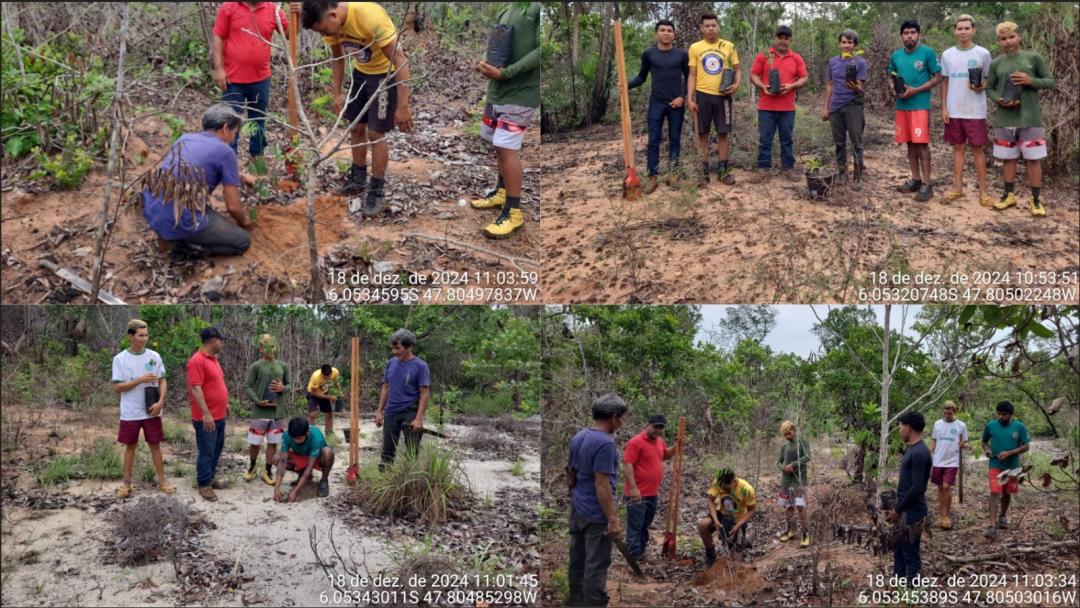 Cachoeirinha realiza plantio de mudas em áreas degradadas no Território Indígena